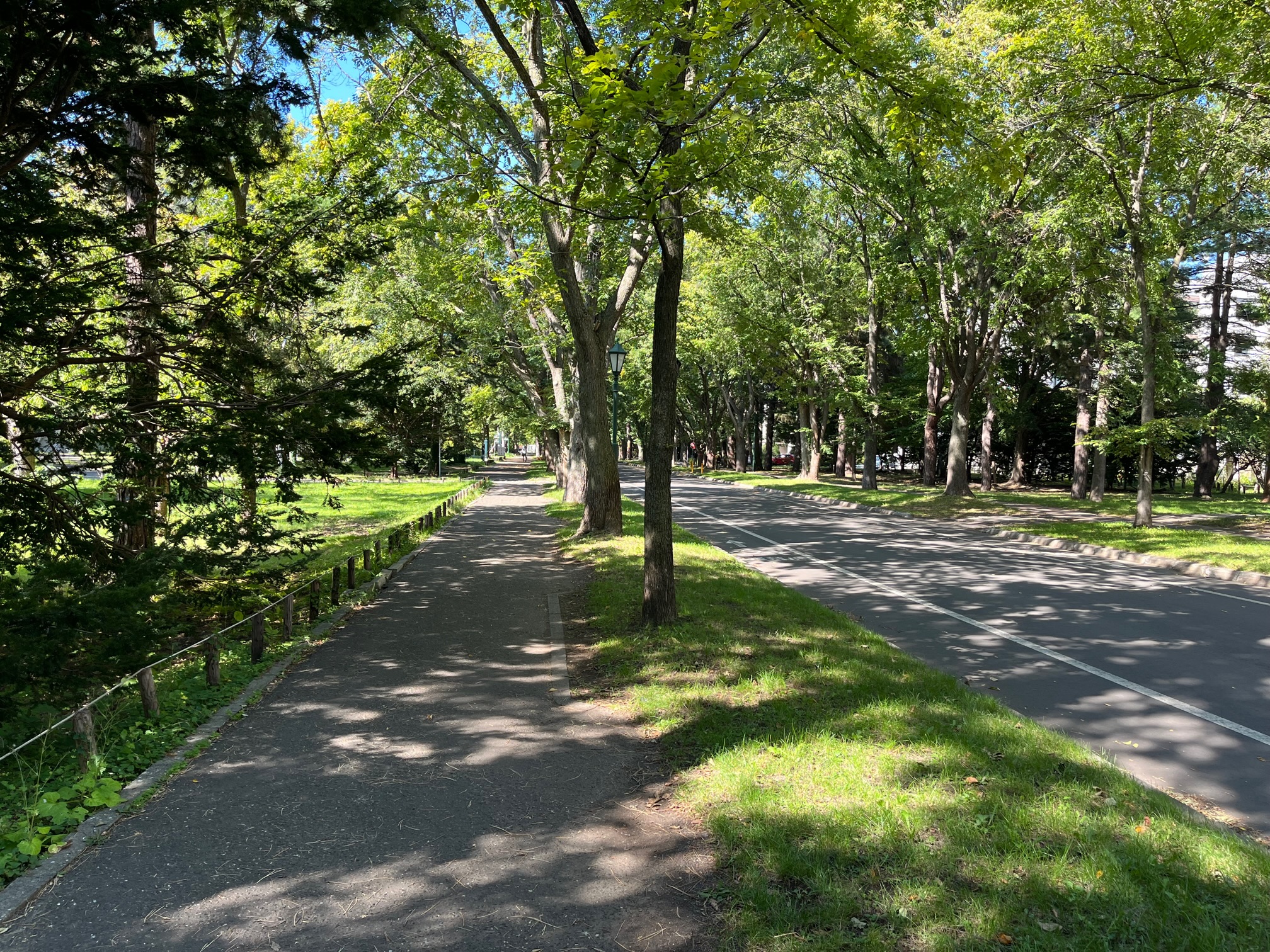 A road in Hokkaido University